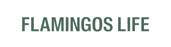 FLAMINGOS LIFE LOGO